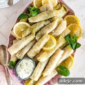Lebanese malfouf served on a pink plate and garnished with lemon wedges and fresh mint