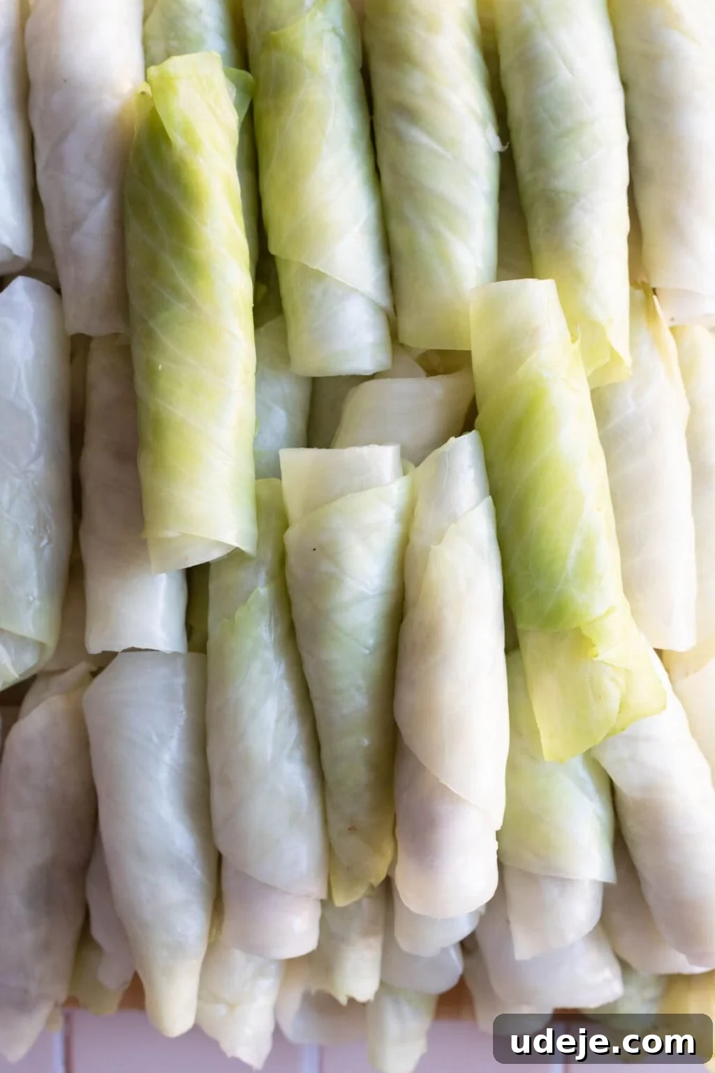 Authentic Lebanese Cabbage Rolls 8 Stuffed and rolled cabbage leaves in a pile