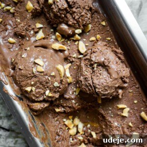 Scoops of No-Churn Vegan Chocolate Peanut Butter Ice Cream with visible swirls.
