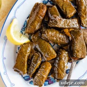 Vegetarian stuffed grape leaves served on a platter with lemon wedges
