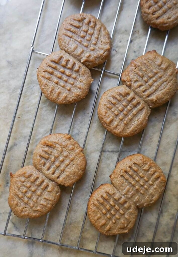 Classic Nutter Butter Cookies From Scratch 3 Ingredients for healthy nutter butter cookies laid out on a table.