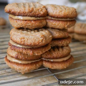Classic Nutter Butter Cookies From Scratch 6 Homemade Nutter Butter Cookies with peanut butter filling