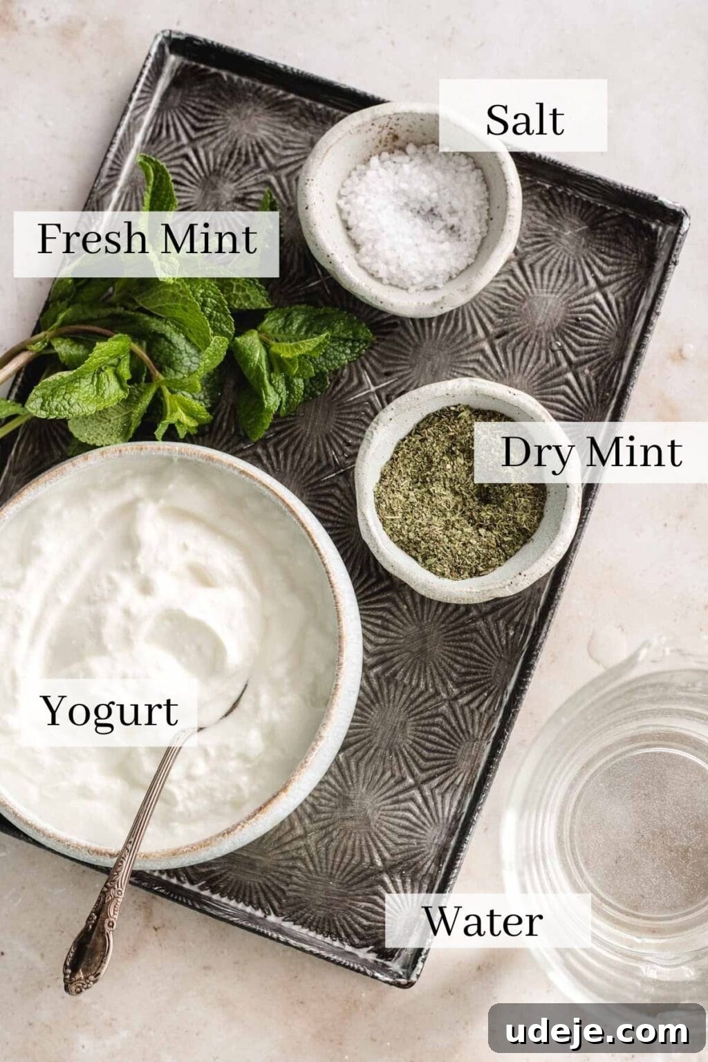 Whip Up Refreshing Turkish Ayran in Just 5 Minutes 3 The ingredients for Ayran, including yogurt, water, dry mint, salt and fresh mint for decor.
