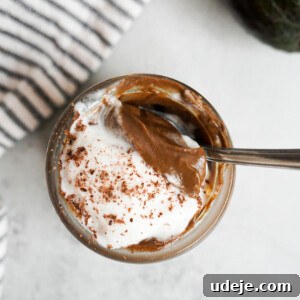 Rich and creamy chocolate avocado pudding