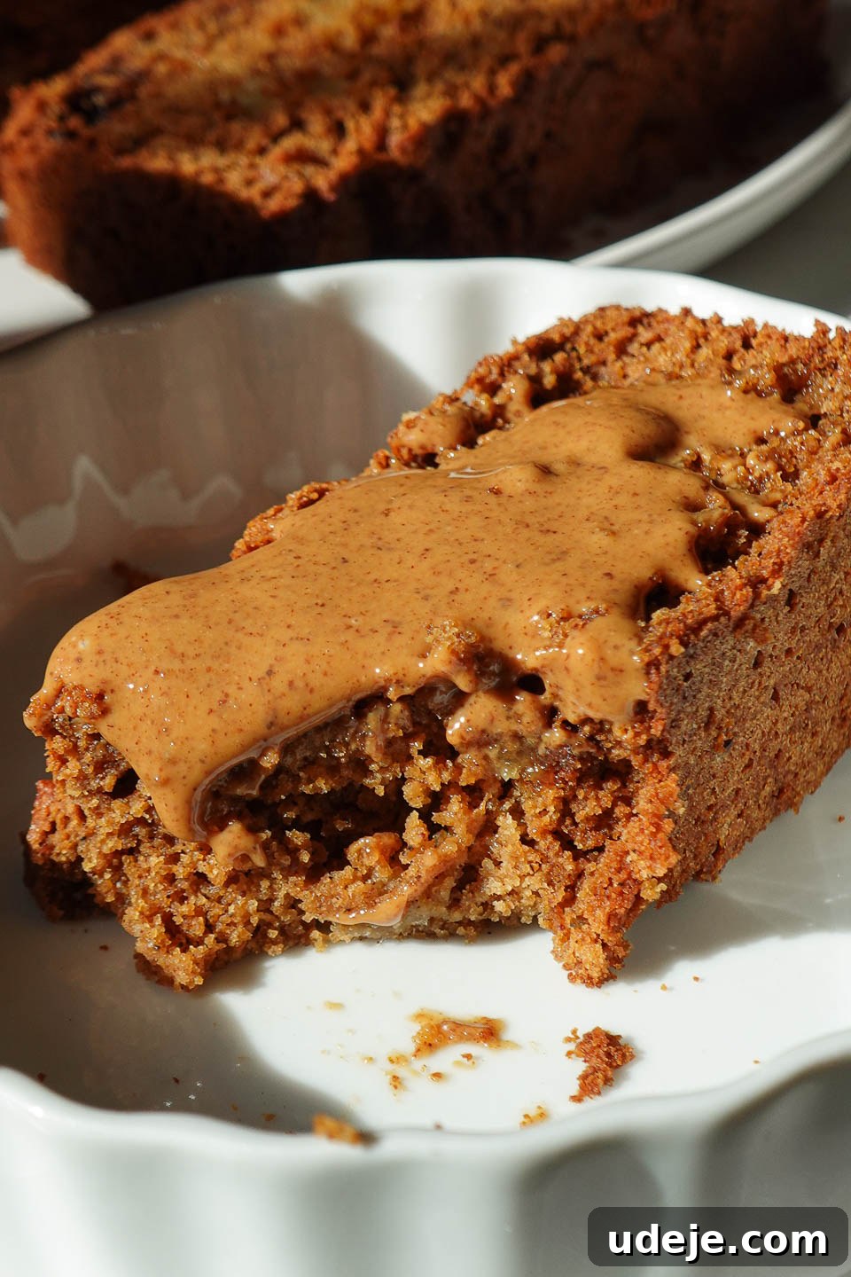 Wholesome Vegan Gluten-Free Apple Bread 4 Close-up of a moist apple bread slice revealing its tender crumb and plentiful chunks of apple