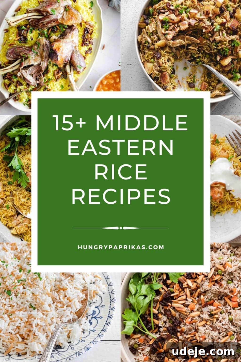 15 Middle Eastern Rice Dishes Weeknight Meals to Holiday Feasts 2 Image collage of 6 recipes with an overlay of text saying "15+ Middle Eastern Rice Recipes"
