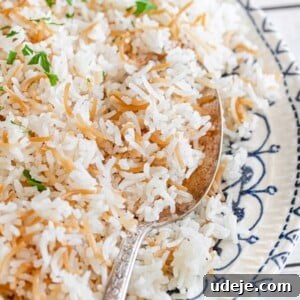 15 Middle Eastern Rice Dishes Weeknight Meals to Holiday Feasts 7 A close-up of Vermicelli Rice—cooked white rice mixed with golden brown toasted vermicelli, garnished with chopped parsley and served on a decorative plate with a silver spoon.