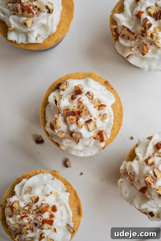 Creamy Vegan Pumpkin Cheesecake Minis 4 Ingredients for Mini Vegan Pumpkin Cheesecakes laid out, including medjool dates, pecans, cashews, pumpkin puree, coconut cream, and spices.