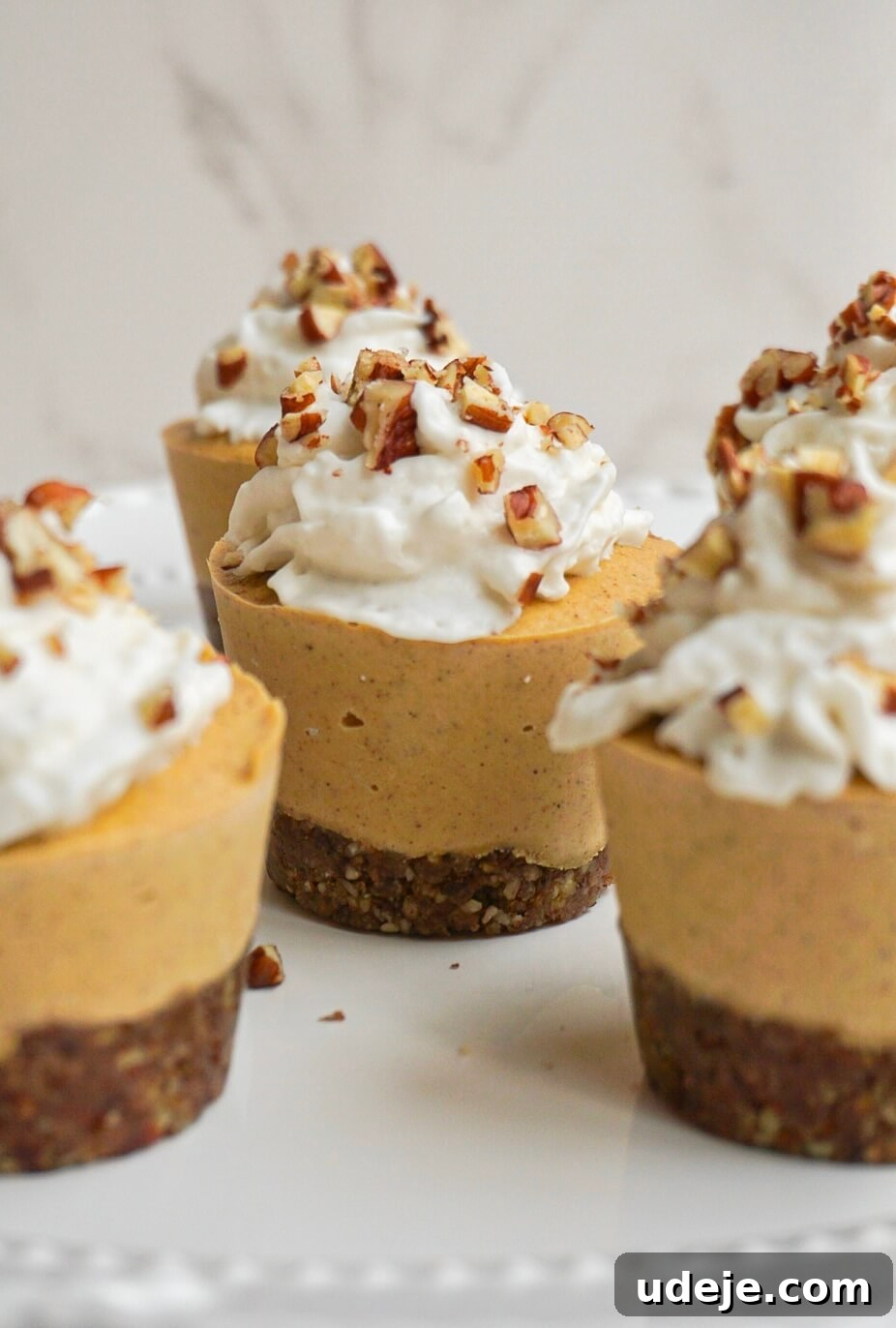 Creamy Vegan Pumpkin Cheesecake Minis 5 A tray of freshly made No-Bake Mini Vegan Pumpkin Cheesecakes ready to be topped, showcasing their perfectly set texture.
