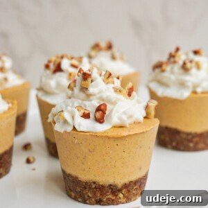 Creamy Vegan Pumpkin Cheesecake Minis 6 Mini Vegan Pumpkin Cheesecakes, a healthy, no-bake, dairy-free dessert for fall holidays.