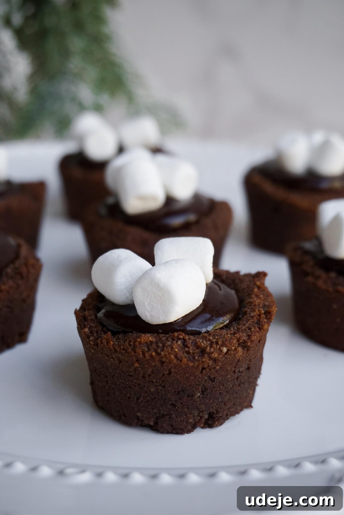 Decadent Vegan and Gluten-Free Hot Chocolate Cookie Cups 4 Three hot chocolate cookie cups topped with melted marshmallows and chocolate drizzle