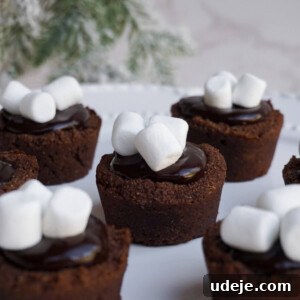 A full plate of vegan and gluten-free hot chocolate cookie cups, freshly baked and topped with mini marshmallows