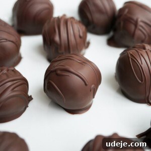 Delicious Brownie Batter Truffles (vegan & gluten free)
