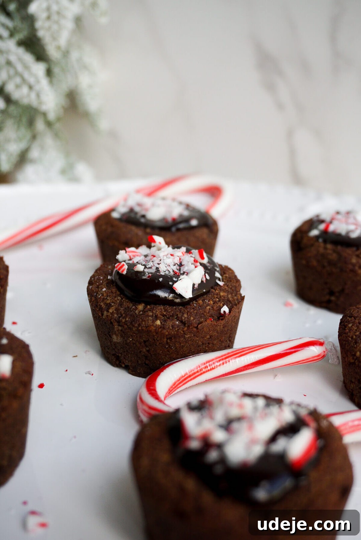 Mint Chocolate Cookie Bites Vegan Gluten Free 4 These Chocolate Peppermint Cookie Cups are perfect for the holidays! A chocolate cookie base filled with chocolate ganache & sprinkled with crushed candy canes.