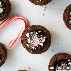 Mint Chocolate Cookie Bites Vegan Gluten Free 5 img 3428 4