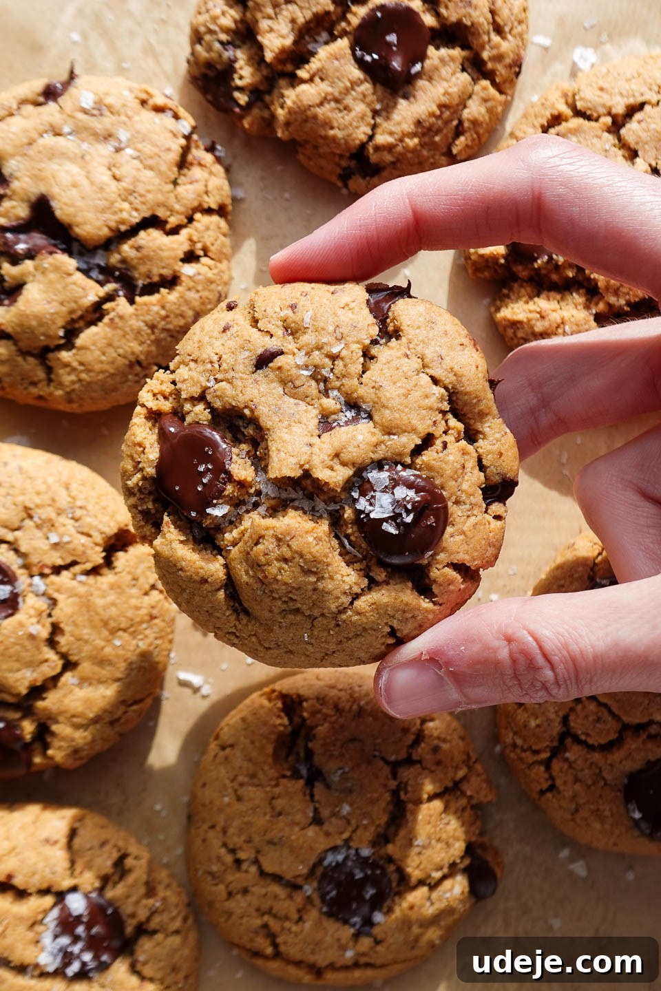 Melt-in-Your-Mouth Vegan Gluten-Free Chocolate Chip Cookies 5 The best vegan chocolate chip cookies freshly baked on a baking sheet, sprinkled with flaky sea salt