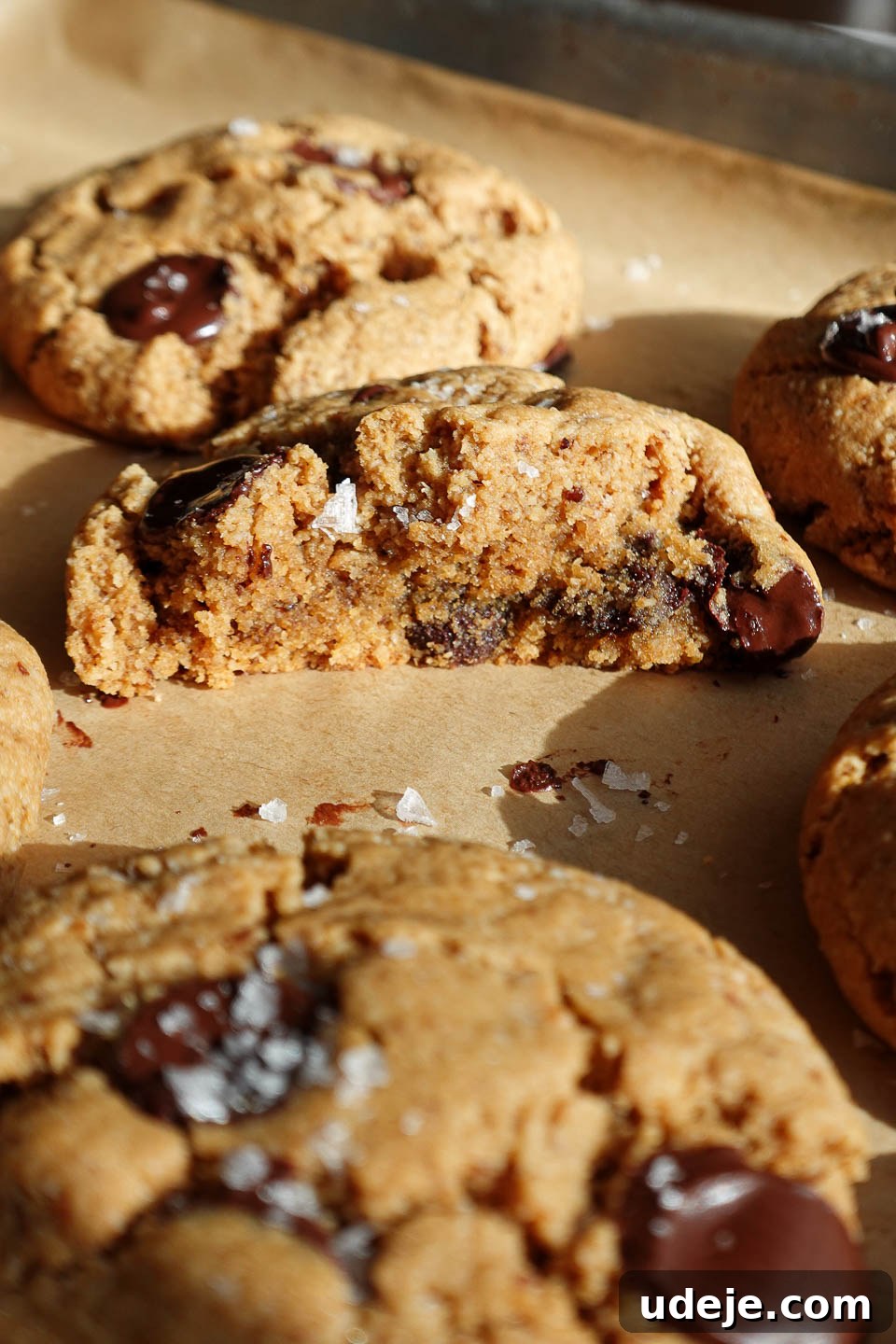 Melt-in-Your-Mouth Vegan Gluten-Free Chocolate Chip Cookies 6 Vegan chocolate chip cookies with a bite taken out, showing the soft and chewy interior