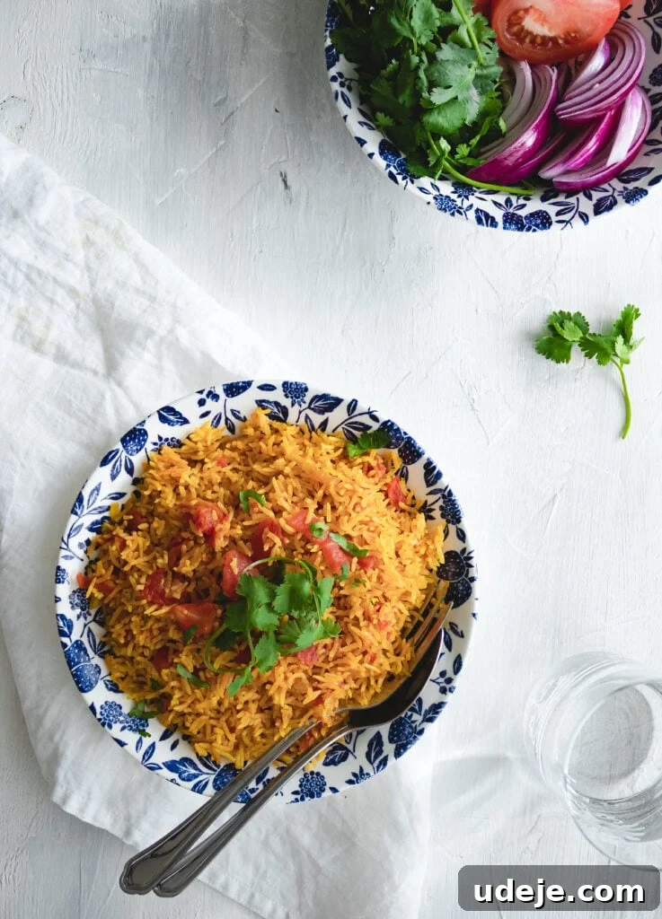 Vibrant Vegetarian Middle Eastern Instant Pot Tomato Rice, garnished with fresh herbs and served in a decorative bowl.