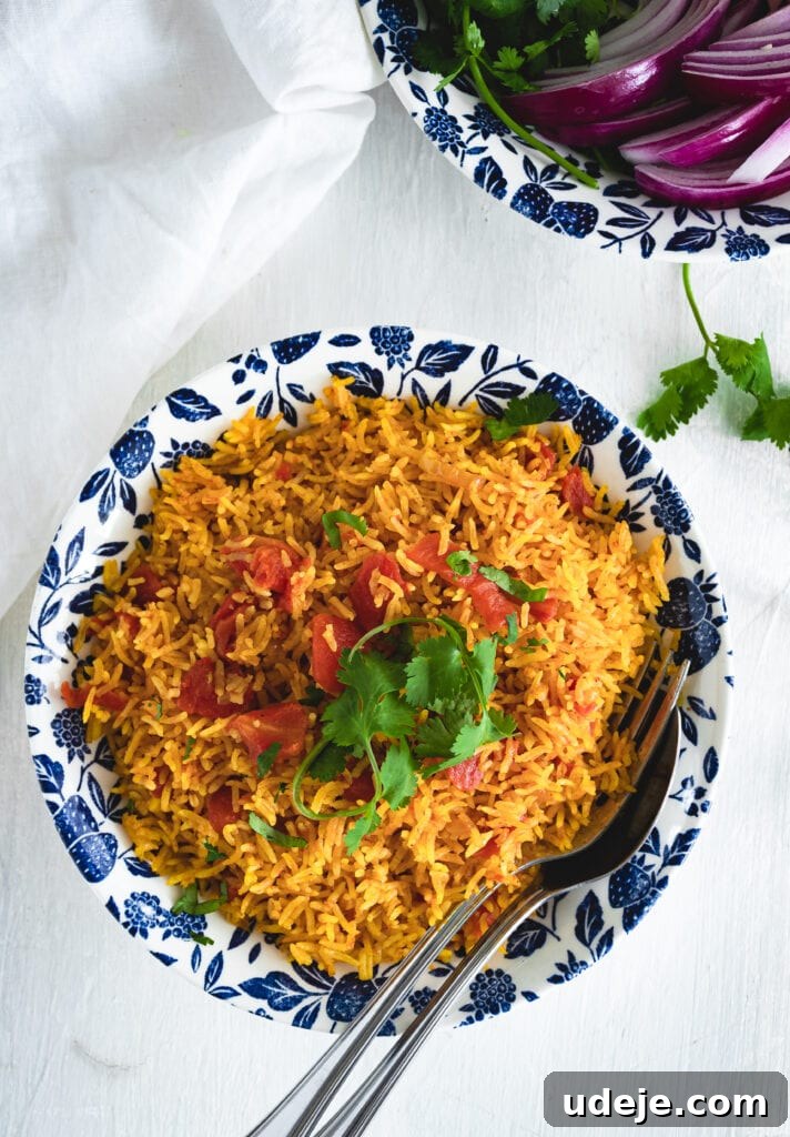 Close-up of fluffy and aromatic Instant Pot Tomato Rice, showcasing its vibrant color and texture.