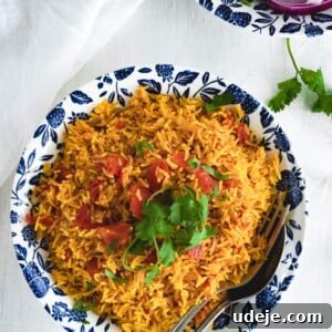 A bowl of vibrant Instant Pot Tomato Rice garnished with fresh cilantro sits on a white surface.