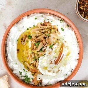 Orange-brown bowl filled with labneh topped with slivered almonds, parsley, with pita at the side, olive oil bottle, chilli flakes, parsley and lemon at the side