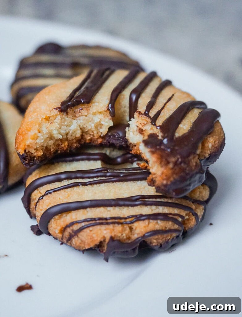 Dreamy Vegan GF Fudge Stripes 2 Homemade vegan and gluten-free fudge stripe cookies on a plate, mimicking the classic childhood snack.
