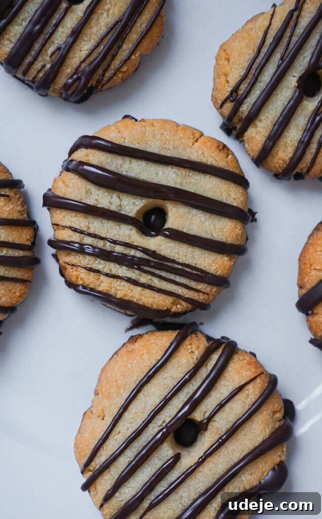 Dreamy Vegan GF Fudge Stripes 3 Close-up of freshly baked vegan and gluten-free fudge stripe cookies, showing the perfect texture and chocolate drizzle.