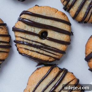 Dreamy Vegan GF Fudge Stripes 4 Vegan Fudge Stripe Cookies, perfectly baked and decorated