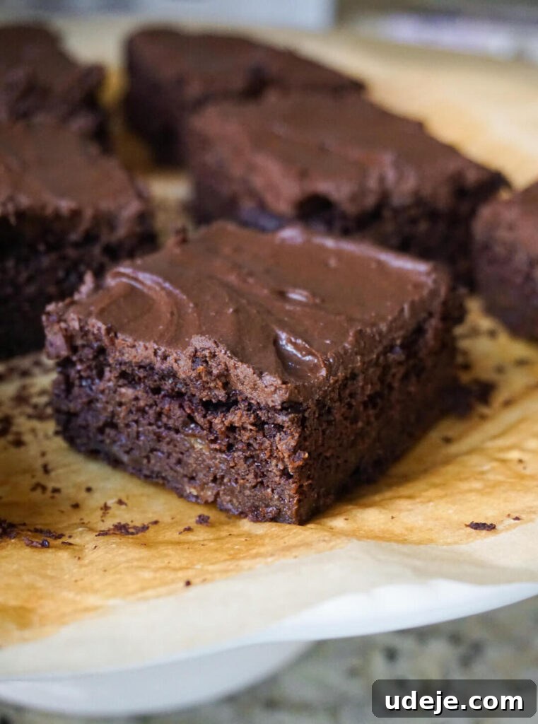 Rich, moist, fudgy chocolate snack cake made with bananas and applesauce, topped with a chocolate protein frosting.