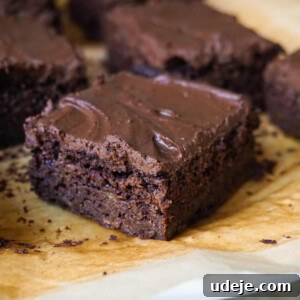 Finished Vegan Chocolate Snack Cake with Protein Frosting