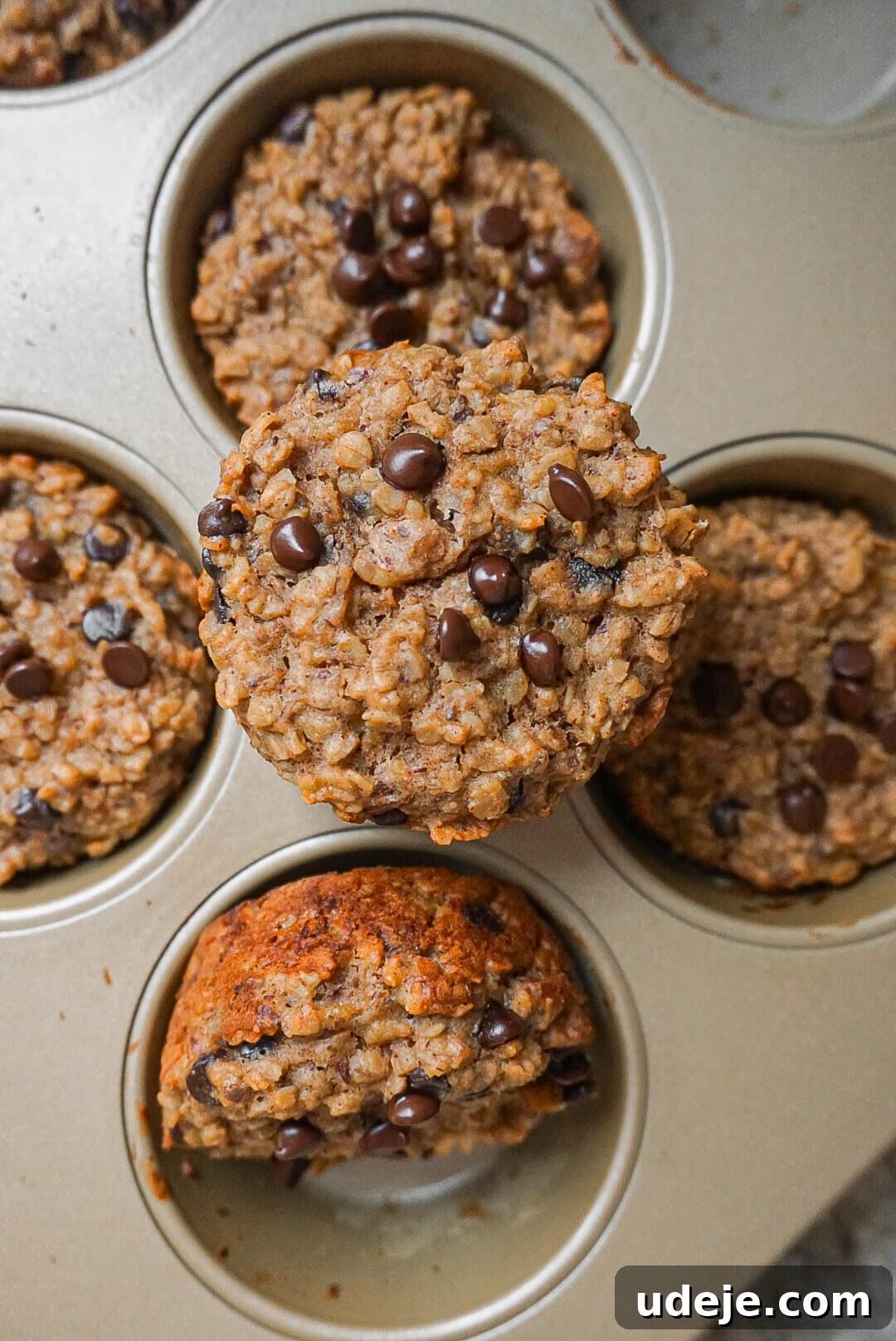 Delicious Peanut Butter Oatmeal Muffins Vegan and Gluten Free 5 Close-up of a single Peanut Butter Oatmeal Muffin, showing its moist interior and delicious texture.