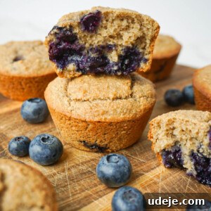 Wholesome Plant-Based Gluten-Free Blueberry Muffins 6 Healthy Blueberry Muffins (vegan & gluten-free)