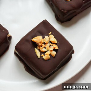 Peanut Butter Vegan Klondike Bars