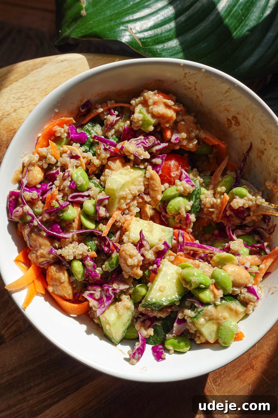 Crispy Thai Quinoa Salad with Peanut Ginger Dressing 3 Crunchy vegan Thai quinoa salad generously topped with roasted peanuts in a large serving bowl.