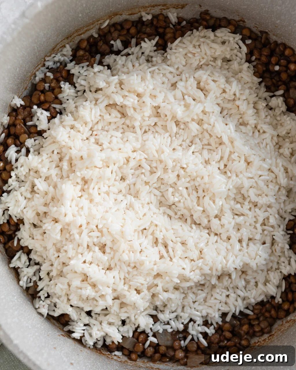 Egypt's Koshari: A Hearty Blend of Rice, Lentils and Pasta 12 Cooked brown lentils and onions with raw rice on top in a light coloured pot