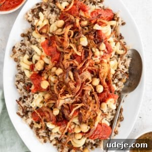 Cooked rice and lentils with macaroni, spiced chickpeas, fried onions and tomato sauce on top on a white platter with a green towel at the side and a serving spoon, a bowl of tomato sauce and a bowl of dukkah on a light coloured background