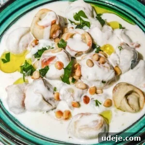 Shish barak which are meat filled dumplings in yogurt sauce are plated in a teal platter and garnished with toasted pine nuts, chopped parsley and a drizzle of olive oil