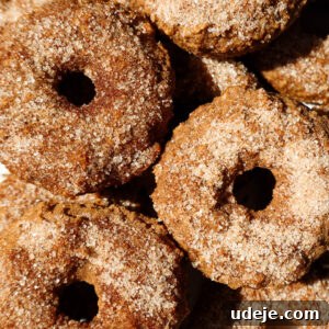 Baked apple cider donuts coated in cinnamon sugar on a plate