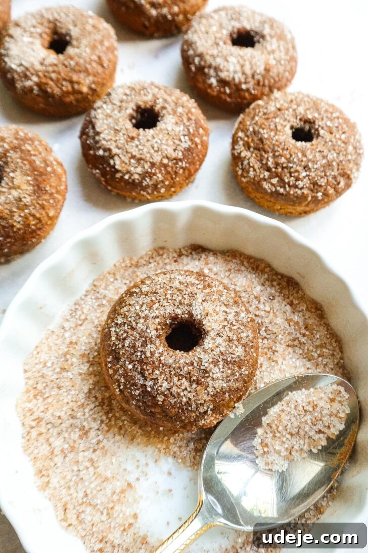 Wholesome Baked Apple Cider Doughnuts 7 img 6064 6
