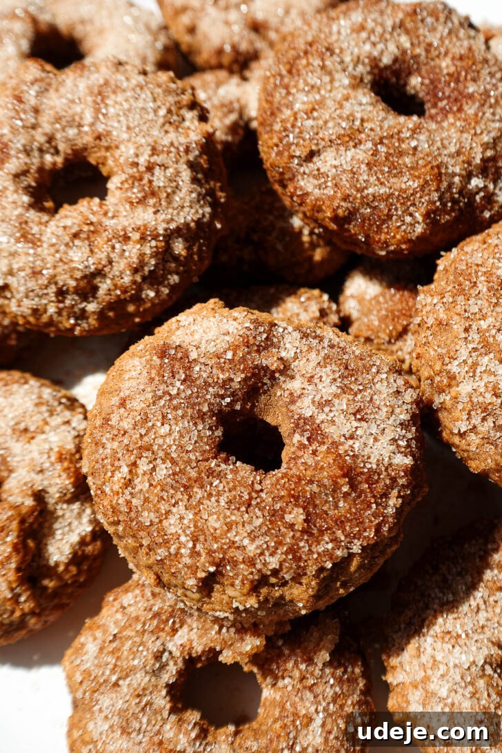 Wholesome Baked Apple Cider Doughnuts 8 Soft and fluffy baked apple cider donuts with cinnamon sugar coating