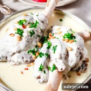 Syrian Shakriyeh: Velvety Lamb and Yogurt Stew 16 two large cooked lamb shanks in yogurt sauce placed in a small dish, along with a plate of cut up radish and green onions, and a small plate of toasted pine nuts
