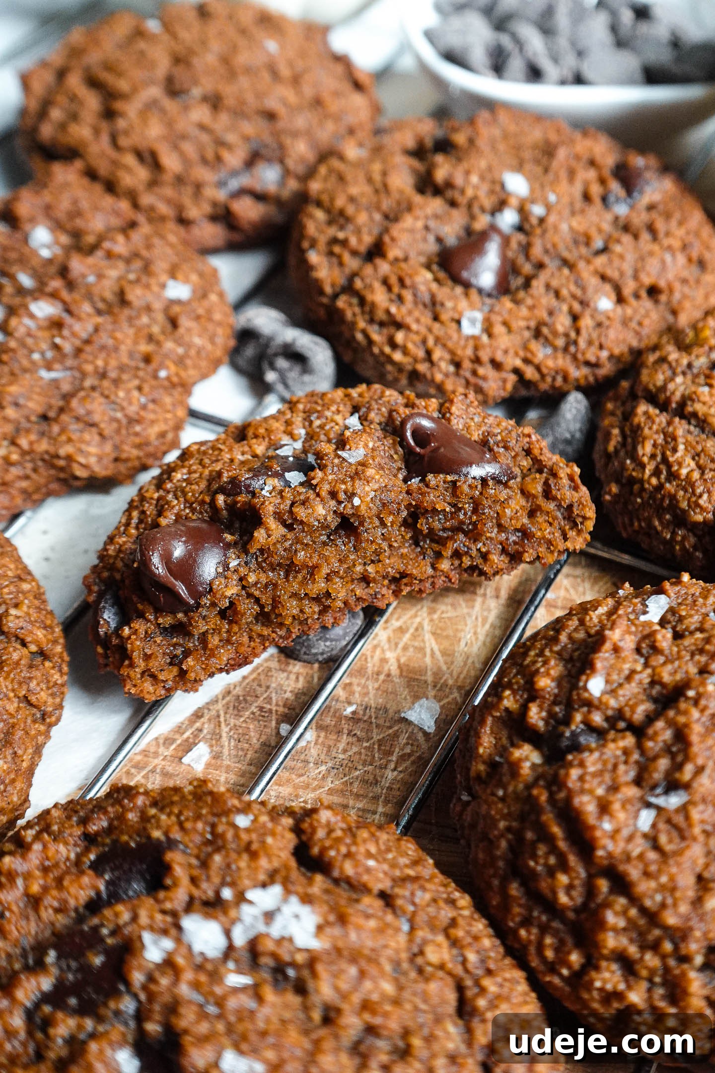 Plant-Based Pumpkin Spice Chocolate Chip Cookies 3 Vegan pumpkin chocolate chip cookie with a bite taken out, revealing its soft and chewy interior and melted chocolate.