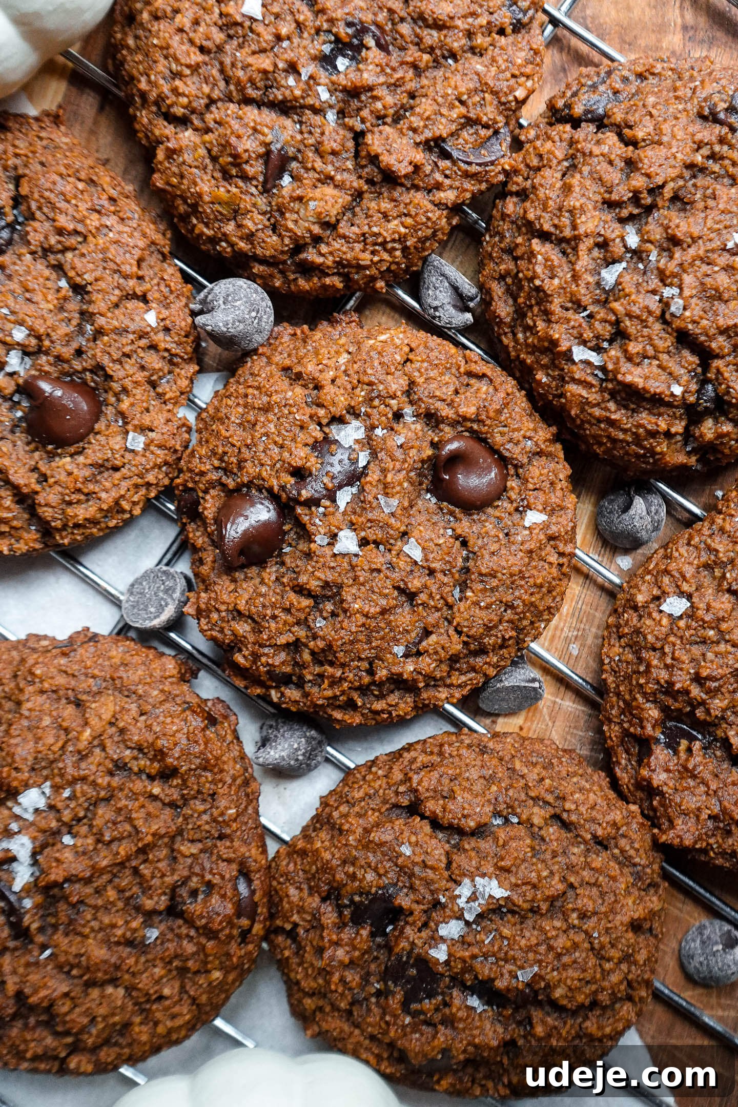Plant-Based Pumpkin Spice Chocolate Chip Cookies 4 Freshly baked vegan pumpkin chocolate chip cookies cooling on a wire rack with flaky sea salt and a white pumpkin, evoking autumn charm.