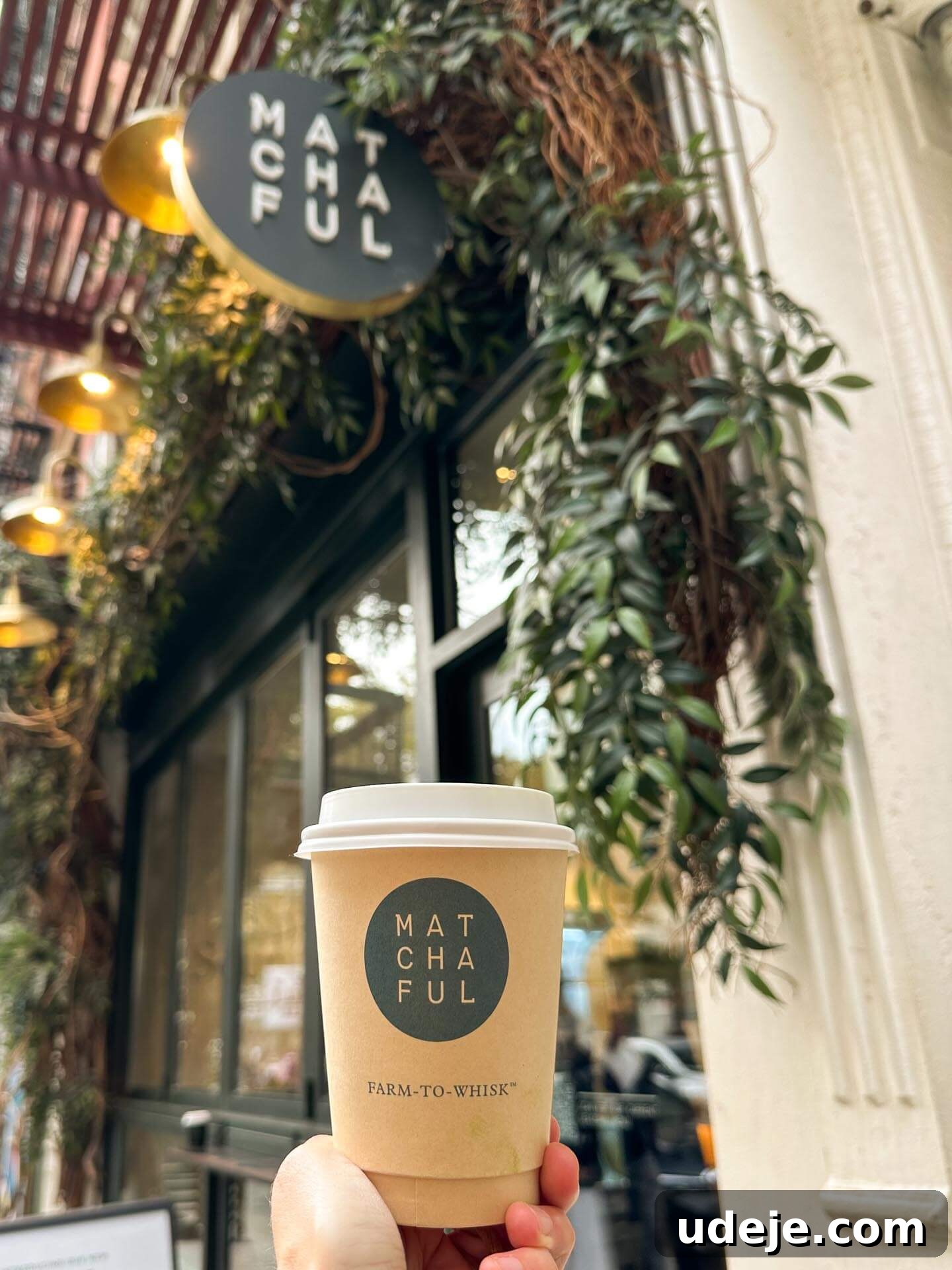 The Ultimate New York City Vegan Restaurant and Cafe Guide 15 Vegan matcha latte from Matchaful, featuring organic, ceremonial-grade matcha sourced from Japan.