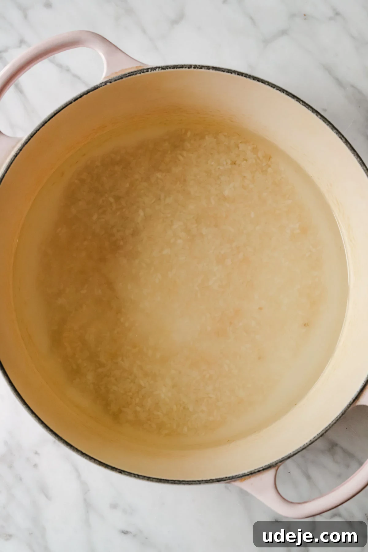 A gleaming, large soup pot containing plain water and raw, uncooked white rice, ready to be cooked.