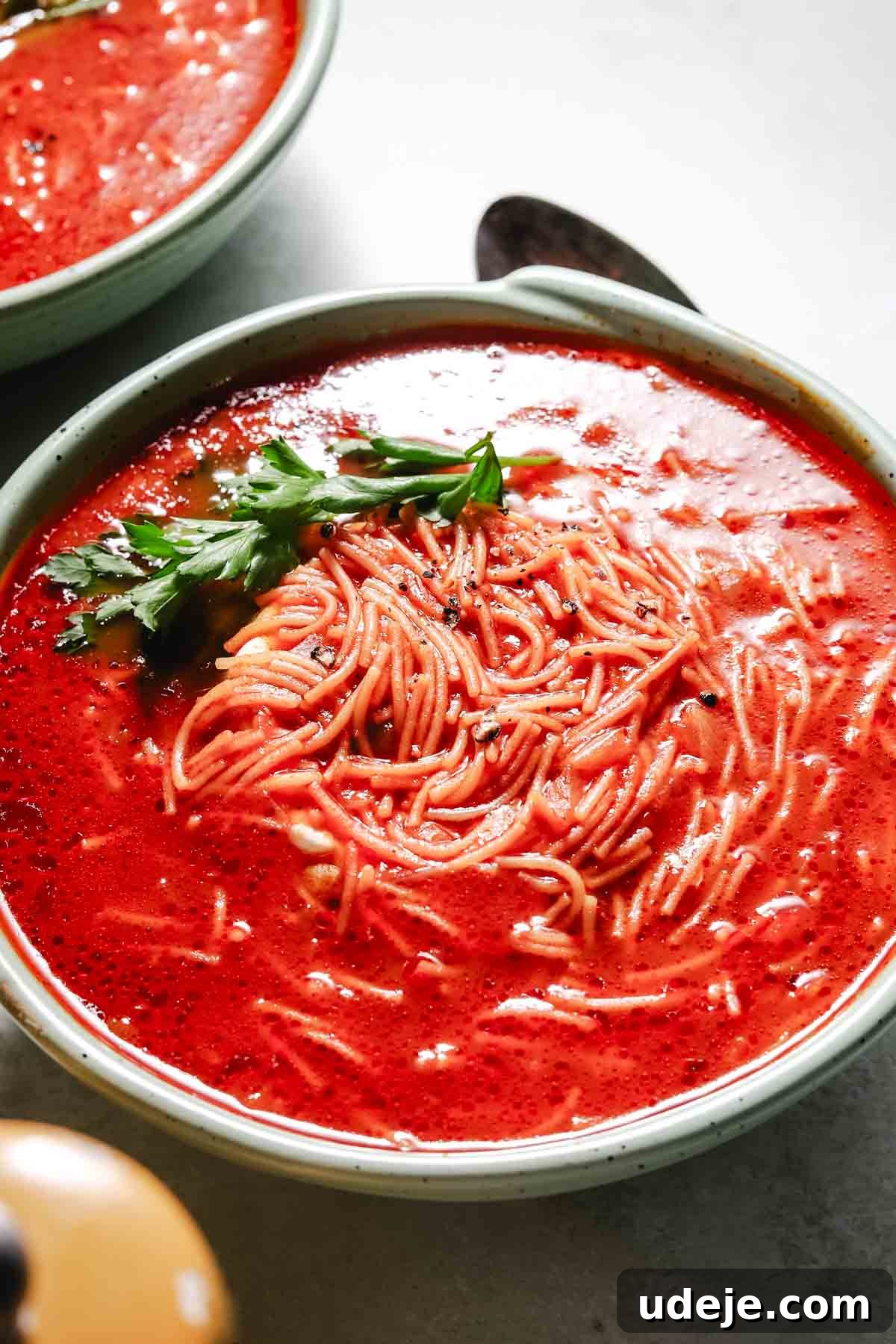 Quick Tomato Vermicelli Delight 9 A single bowl of homemade tomato vermicelli soup, beautifully garnished with fresh green parsley, invitingly ready to be savored.