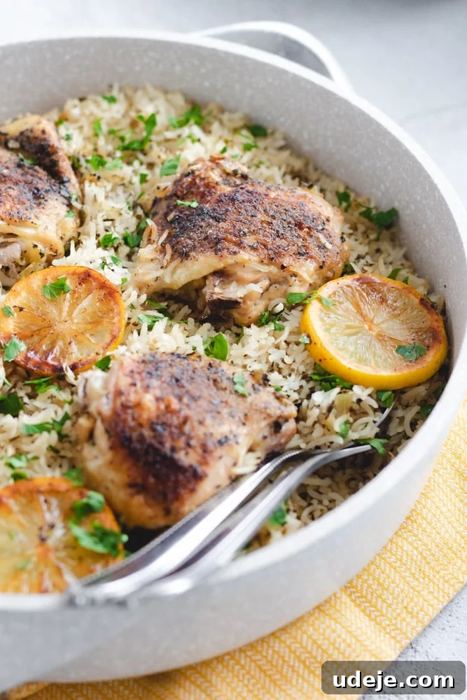 Close-up of golden-brown chicken thighs served over perfectly cooked, fluffy rice, garnished with vibrant green parsley.