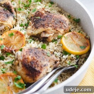 Chicken thighs served on a bed of fluffy rice, garnished with parsley and lemon slices.
