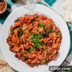 Speedy Moroccan Eggplant Zaalouk 11 Zaalouk on a plate, garnished with parlsey with pita next to it, a small bowl with chilli flakes, a small jug of olive oil, a small plate of chopped parsley on a green and white tiled background