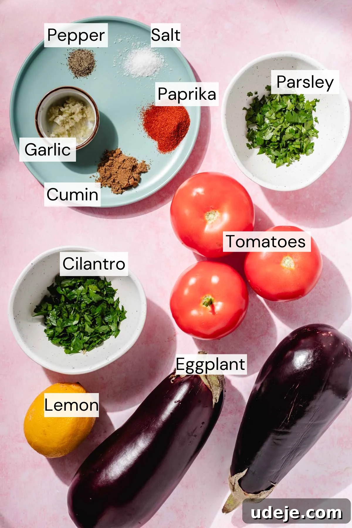 Speedy Moroccan Eggplant Zaalouk 3 Ingredients for zaalouk, mint coloured plate with pepper, salt, paprika, cumin and garlic in a little bowl, small white bowl of chopped parsley, small white bowl of chopped cilantro, 3 whole tomatoes, 2 whole eggplant and 1 whole lemon on a pink background